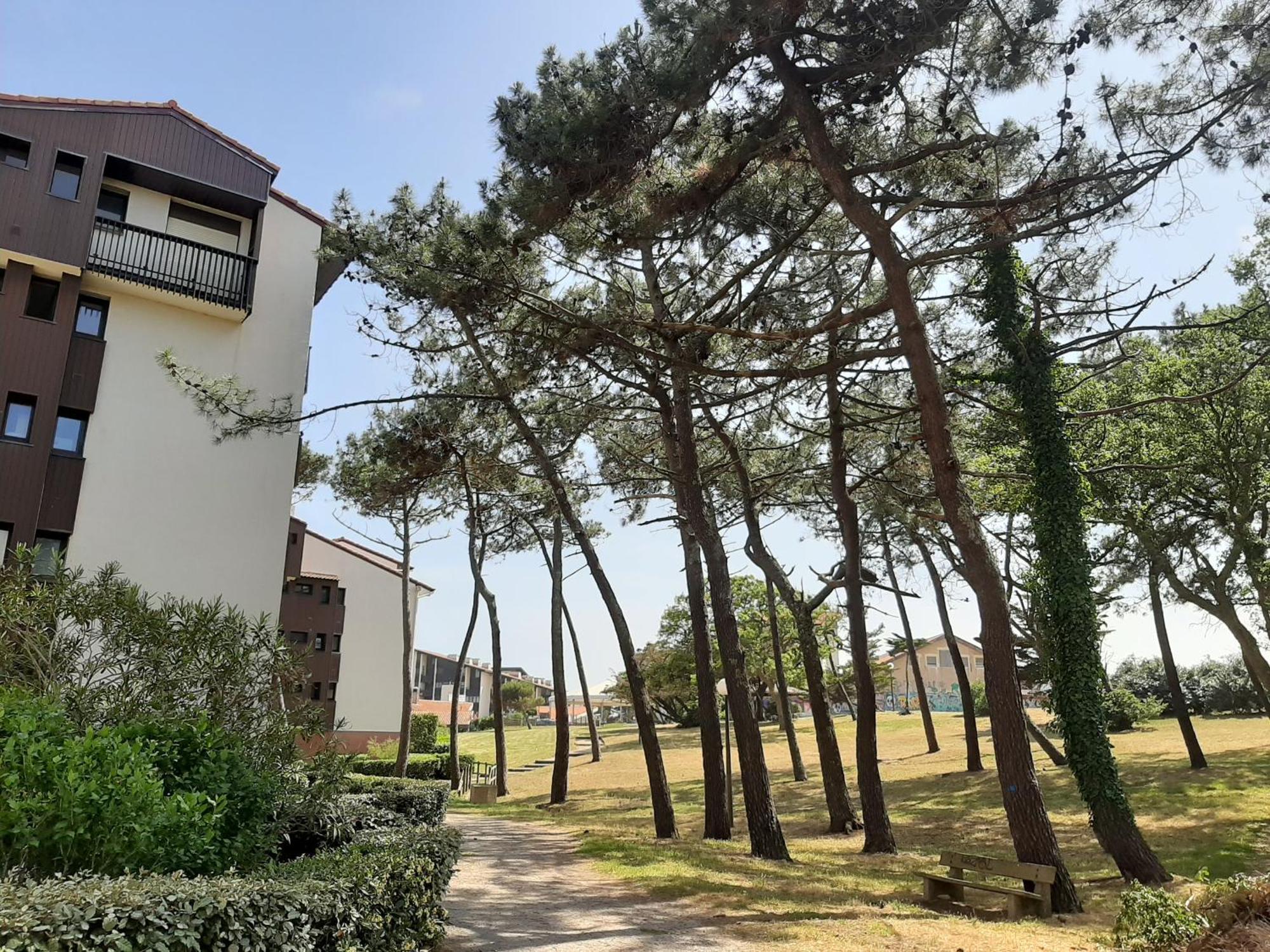Studio Cosy Proche Ocean Et Commerces, Parfait Pour Des Vacances A Deux! - Fr-1-239-437 Seignosse Dış mekan fotoğraf